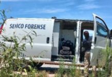 Asesinan a joven madre en Amealco