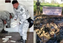 Le despojan al narco más de 100 mdp tras operativos en Sinaloa, Jalisco y BC