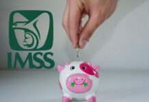 ¿Pensión bloqueada? CURP biométrica será requisito obligatorio en la Modalidad 40 del IMSS