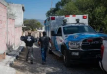 Abren cuatro investigaciones por presunto maltrato animal en El Marqués