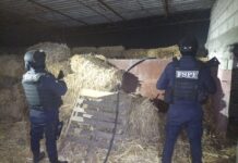 Aseguran hidrocarburo y detectan toma clandestina en Celaya