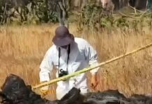 Localizan fosa clandestina en una parcela de Celaya