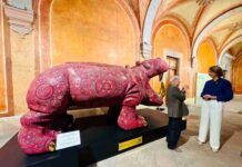 Llega al MAQRO César Menchaca con Murmullo de la naturaleza