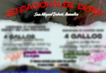 Autoridades cancelan evento clandestino con apuestas en comunidad de Amealco